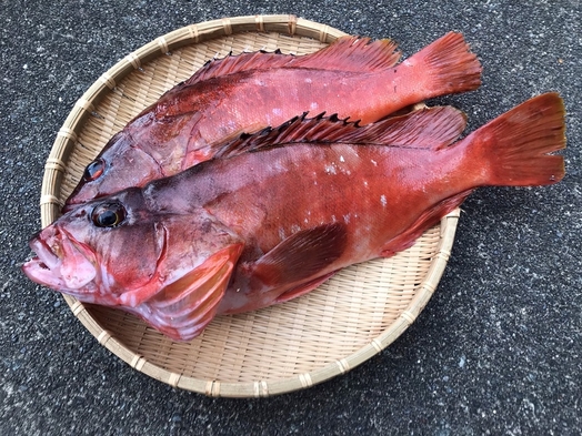 ♪♪この地で採れた地魚の姿煮プラン♪♪